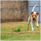 Petsport Tuff Mint Balls Toy For Dogs 2.5" 2pk