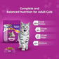 Whiskas Adult (+1 year) Dry Cat Food Mackerel Flavor 3kg