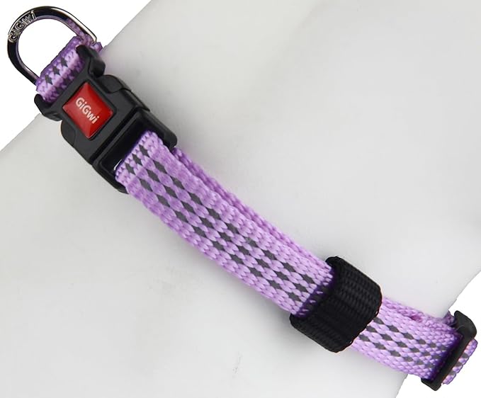 Gigwi Classic Line Collar With Reflective Stitching Sturdy Buckle with Metal D-Ring For Dogs Neck Size 20-30cm Purple (Small)