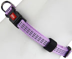 Gigwi Classic Line Collar With Reflective Stitching Sturdy Buckle with Metal D-Ring For Dogs Neck Size 20-30cm Purple (Small)