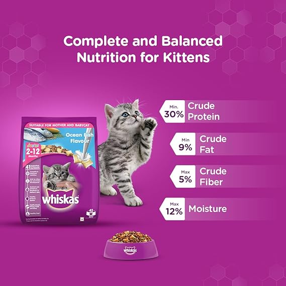 Whiskas Kitten Junior (2-12 Months) Dry Cat Food Ocean Fish Flavor