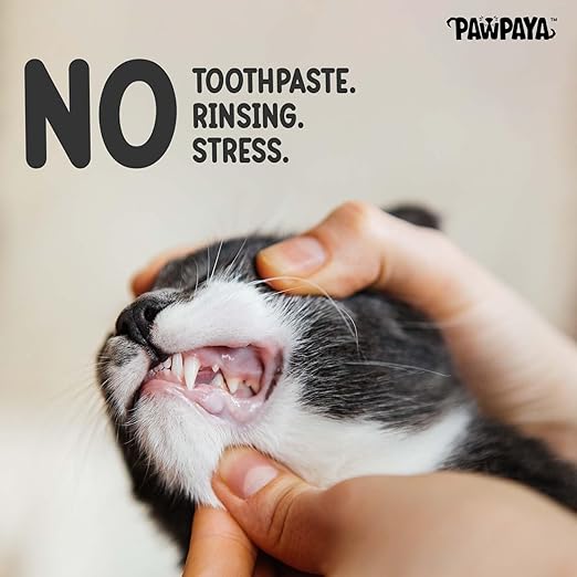 Pawpaya Tooth Wipe For Dogs & Cats 40 Pull