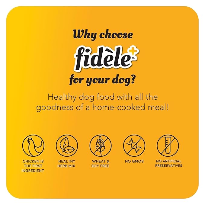 Fidele Adult Senior Dry Food For Dogs
