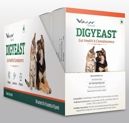 Vvaan Digyeast Gut Health & Convalescence, Anti Stress 100% Pure Natural Supplementary Food For Dogs & Cats Contain 10 Sachet 50g
