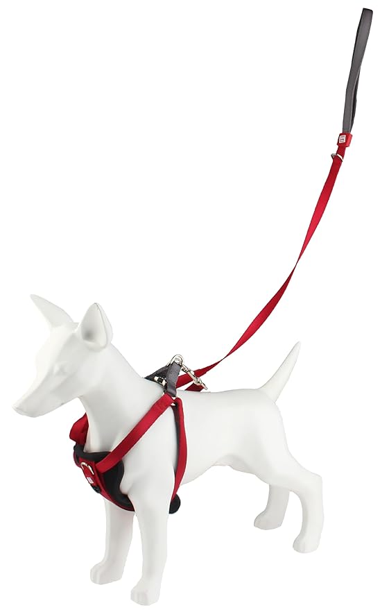 Gigwi Premium Line Durable H-Harness for Dogs Reflective Material Red 15mmx30-50cm (Medium)