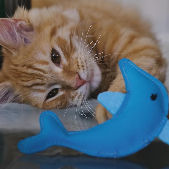 Beco Dolphin Recycled Cat Nip Toy
