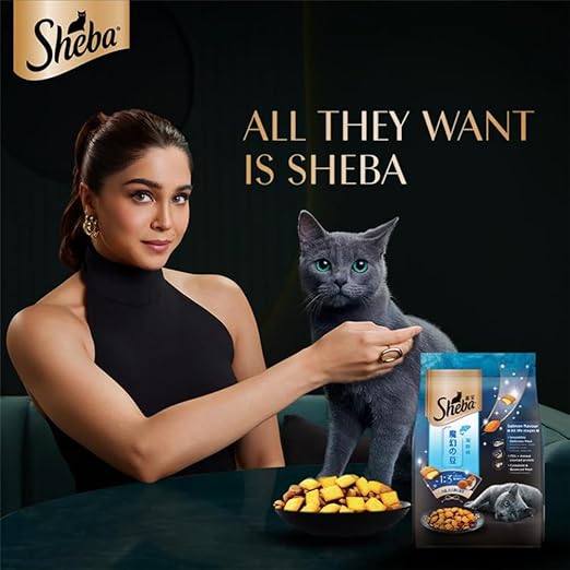 Sheba Kitten & Adult Salmon Flavor Irresistible Dry Cat Food  1.5 kg