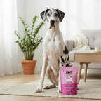Dogs & Tiddles Hip and Joint Dog Treats for All Breeds Dog 70g