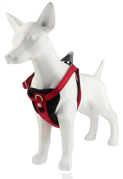 Gigwi Premium Line Durable H-Harness for Dogs Reflective Material Red 15mmx30-50cm (Medium)