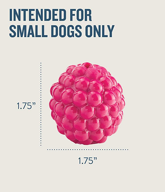 Petstages Orbee Tuff Raspberry Treat-Dispensing Dog Toy 1.75inch