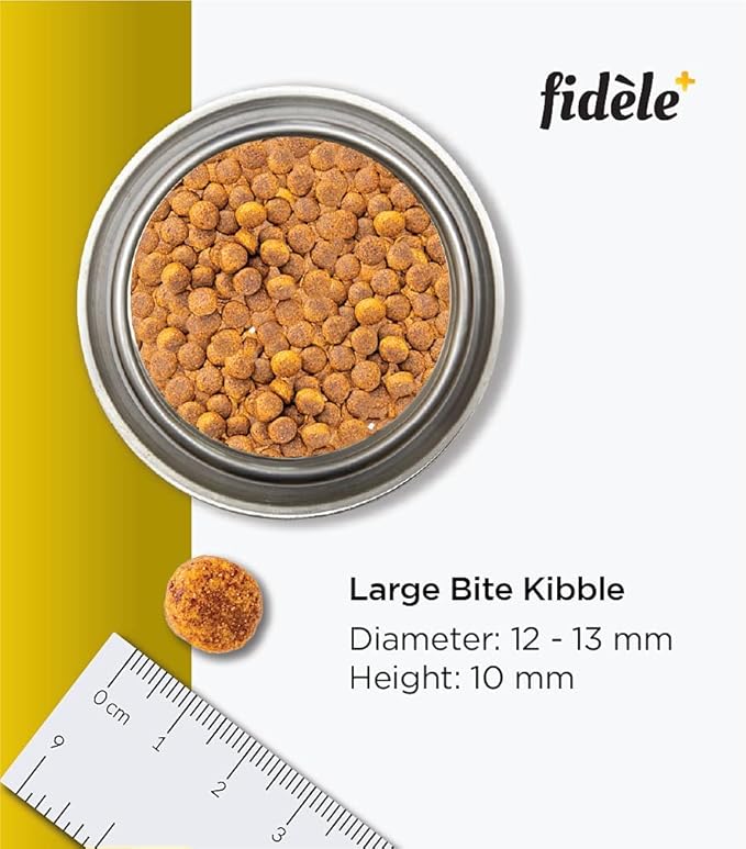 Fidele Large Puppy Dry Food For Dog