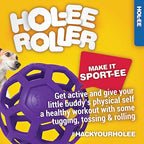 Petmate JW Hol-ee Roller Tug & Treat Ball For Dog Small