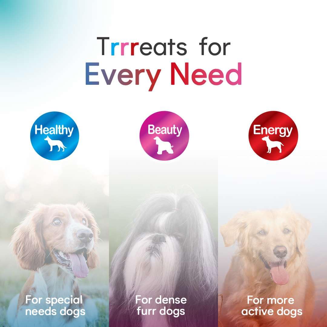 Jer High Chicken with Carrot Stick Real Chicken Meat Treat For Dogs 70g