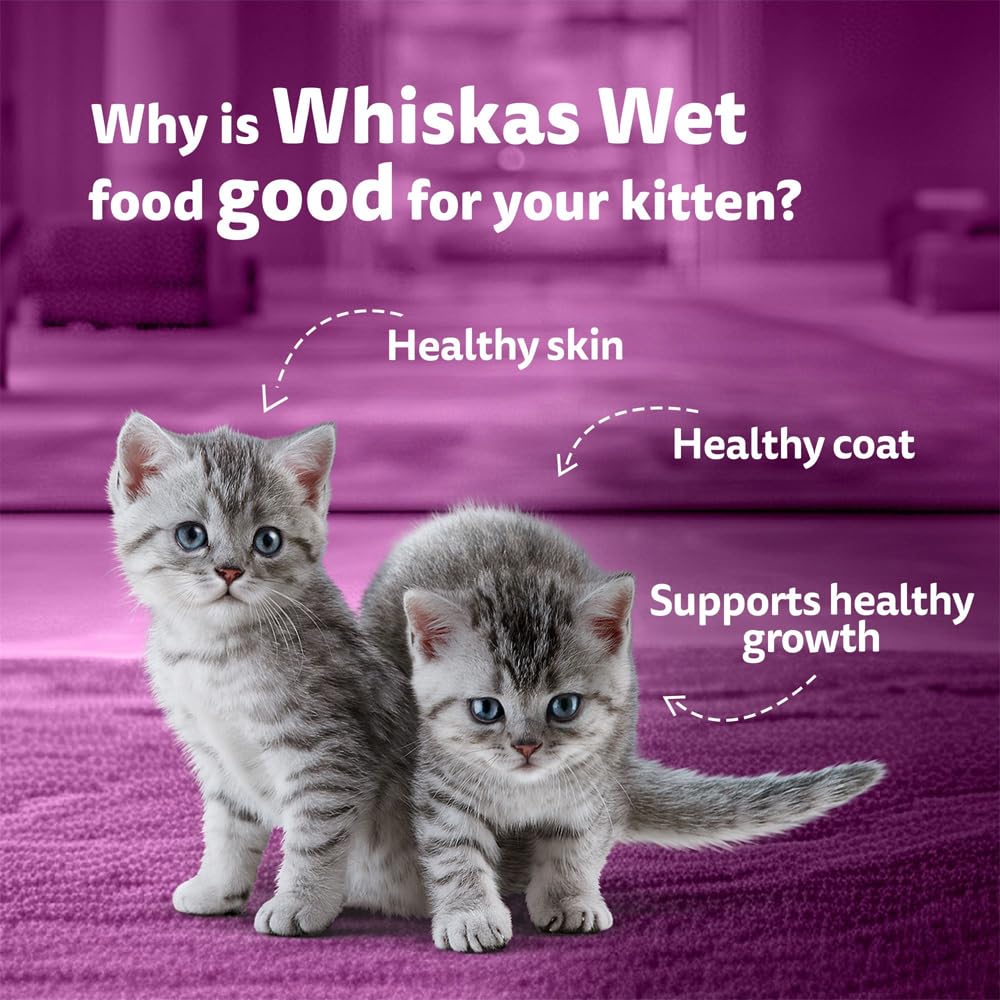 Whiskas Salmon Flavour Kitten 2-12 Months Wet Food 80g