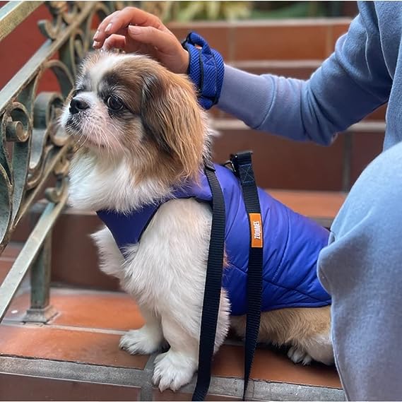 Zoomiez Ultimate Winter Dog Jacket with Built in Harness & Leash Attachment Windproof & Water Resistant - Blue