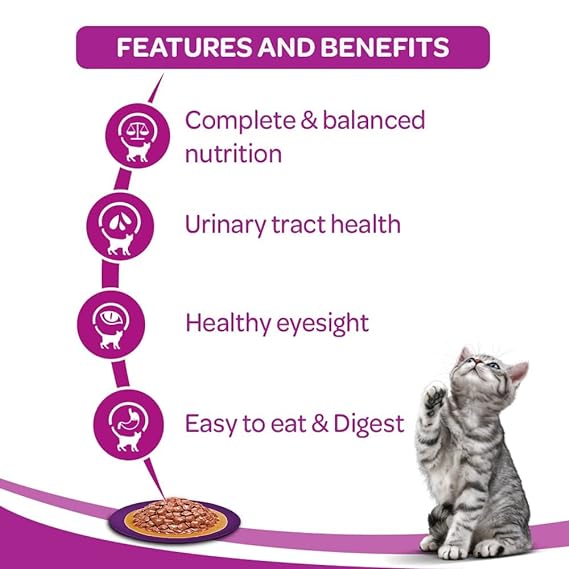 Whiskas Adult (+1 Year) Wet Cat Food Ocean Fish 80G