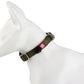 Gigwi Premium Line Reflective Strap with Sturdy Metal Buckle Dog Collar Adjustable Neck Size 33-40cm Green (Medium)