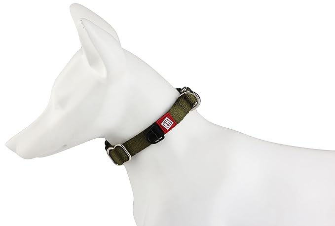 Gigwi Premium Line Reflective Strap with Sturdy Metal Buckle Dog Collar Adjustable Neck Size 33-40cm Green (Medium)