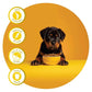 Fidele Large Puppy Dry Food For Dog