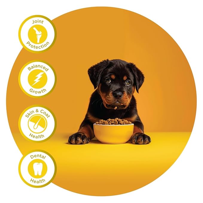 Fidele Large Puppy Dry Food For Dog