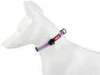 Gigwi Classic Line Collar With Reflective Stitching Sturdy Buckle with Metal D-Ring For Dogs Neck Size 20-30cm Purple (Small)