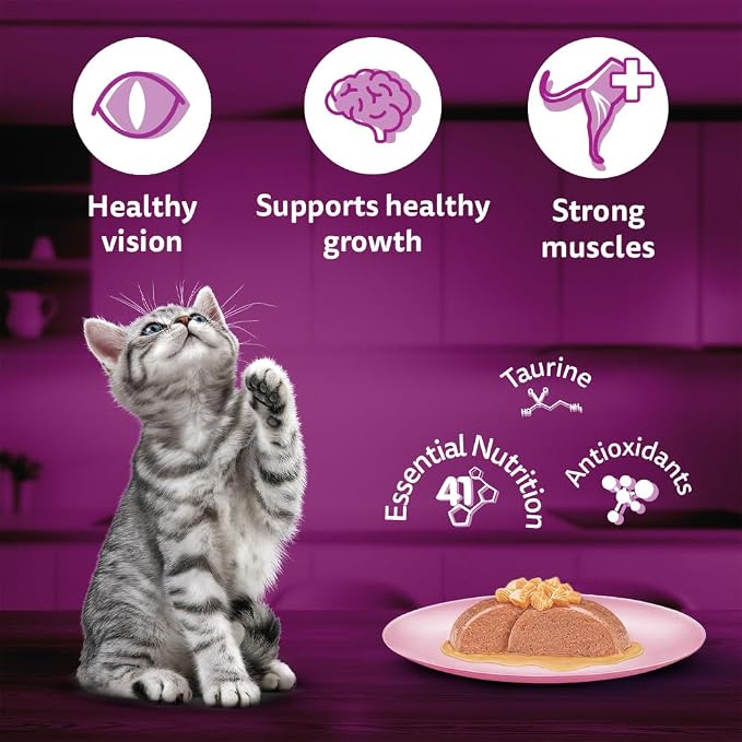 Whiskas Salmon Flavour Kitten 2-12 Months Wet Food 80g