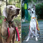 Gigwi Classic Line Dog Leash Soft Mesh Padding with Reflective 25mmx120cm XL