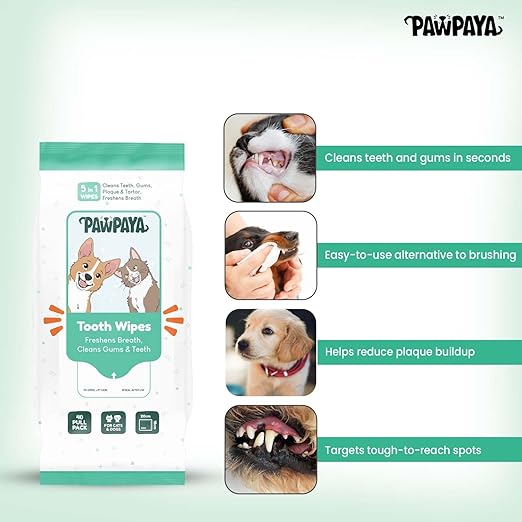 Pawpaya Tooth Wipe For Dogs & Cats 40 Pull