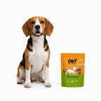 Dogs & Tiddles Soft and Chewy Chicken & Carrot Dog Treats 100g