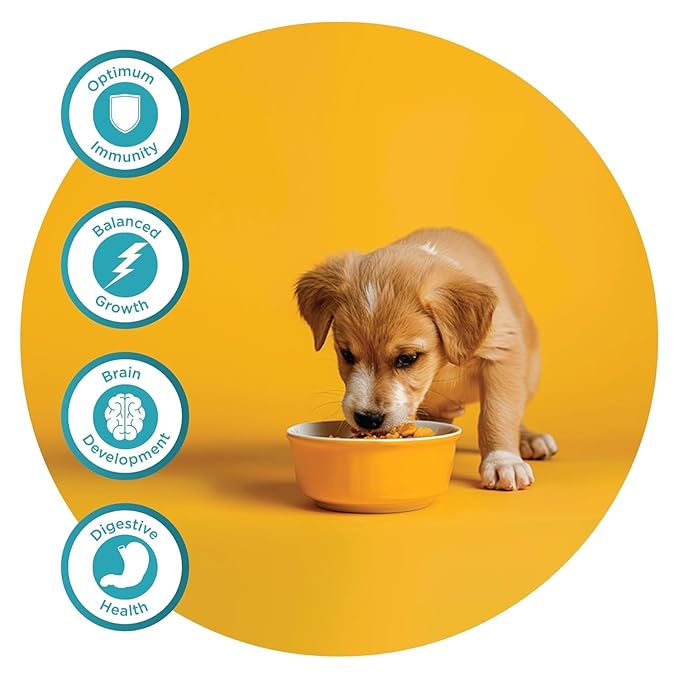 Fidele Starter Puppy All Breed Dry Food For Dogs