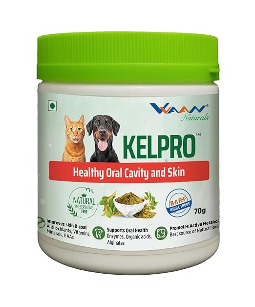 Vvaan Kelpro Oral Care Supplement for Dogs & Cats 70g