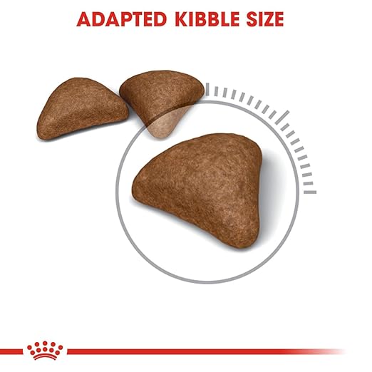 Royal Canin Hairball  Care Cat Dry Food 400g