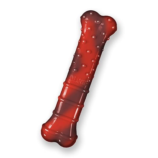 Nylabone Power Chew Textured Bone Beef Jerky Flavor Chew Toy Up to 11kg Dogs 11.43cm x 2.54cm x 4.44cm