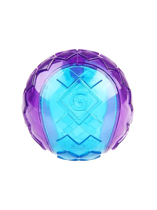 Gigwi Ball Squeaker Dog Toy Blue Large