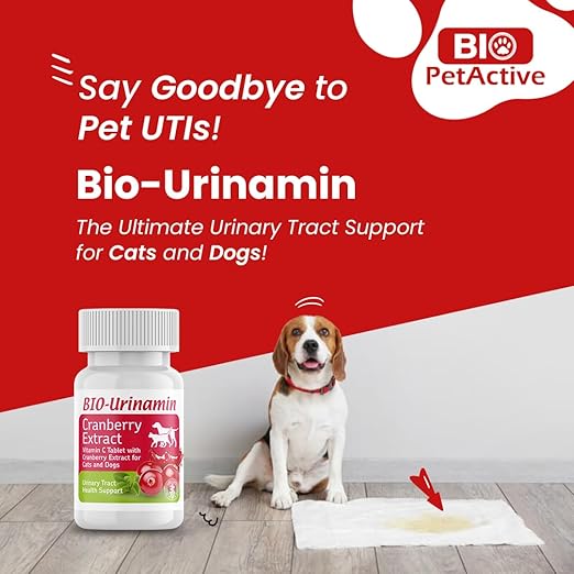 Bio Pet Active Bio Urinamin Cranberry Extract Vitamin C Tablet with Cranberry Extract for Cats and Dogs 20 Tablet