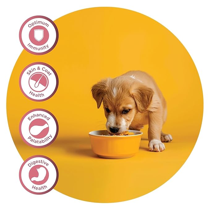Fidele Small & Medium Puppy Dry Food For Dogs