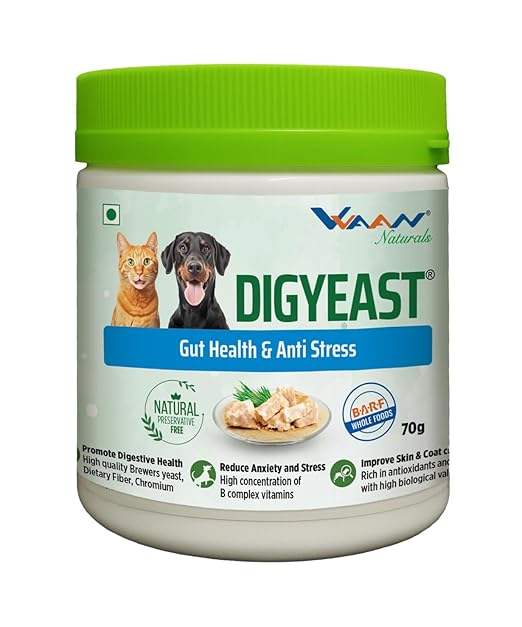 Vvaan Digyeast Gut Health & Anti Stress 100% Pure Natural Supplementary Food for Dogs & Cats 70g