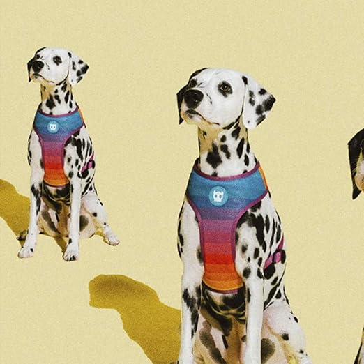 Zee dog Prisma Air Mesh Plus Harness