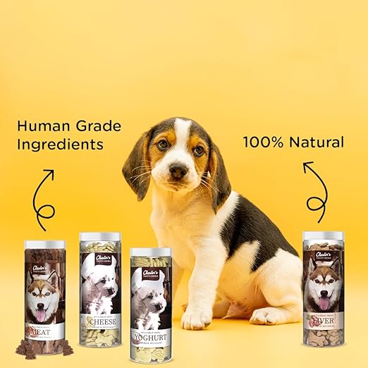 Chester's Tasty Chew Yoghurt Flavor Biscuit For Dogs 700g