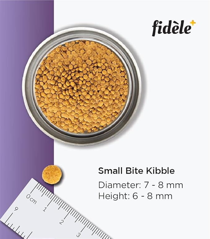 Fidele Adult Small & Medium Dry Dog Food