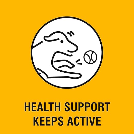 Chester's Tasty Chew Pumpkin Flavor Biscuit For Dogs 700g