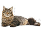 Royal Canin Urinary Care Cat Dry Food 400g