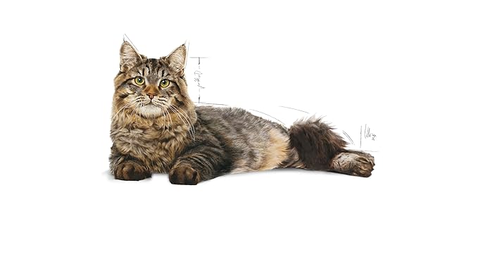Royal Canin Urinary Care Cat Dry Food 400g