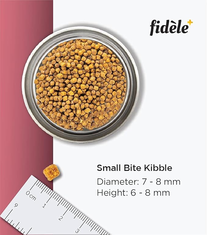 Fidele Small & Medium Puppy Dry Food For Dogs