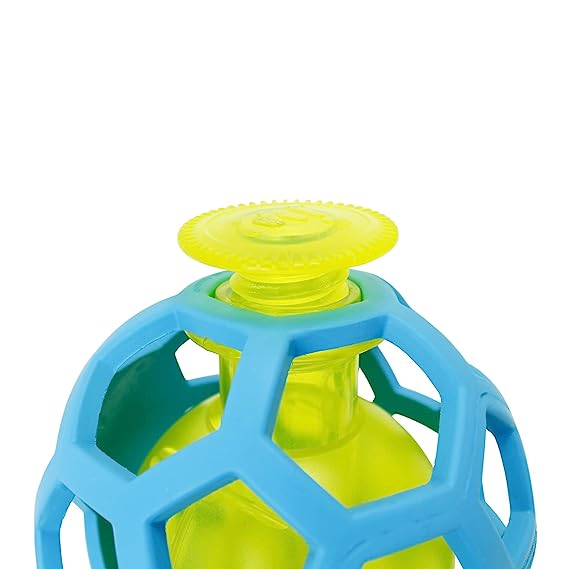 Petmate JW Hole-ee Treat Ball Toy For Dog