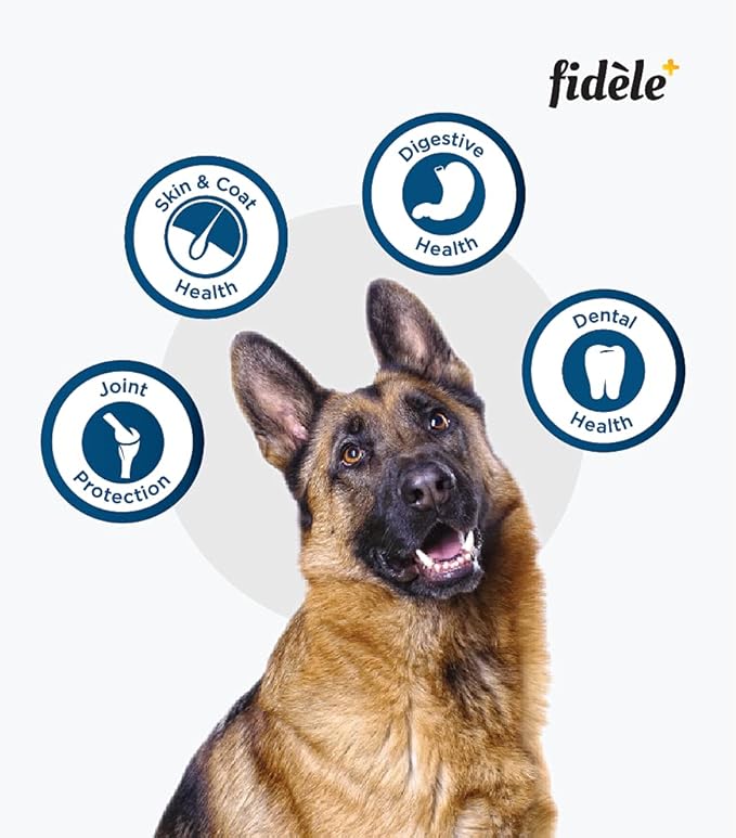 Fidele Adult Large Dry Food For Dog