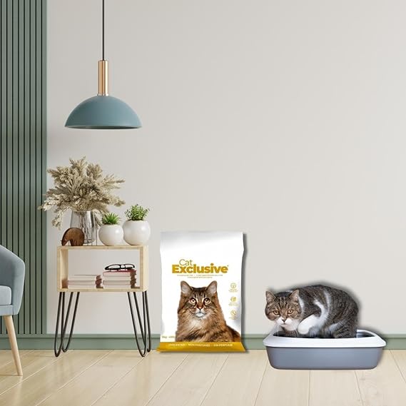 Intersand Cat Exclusive Cat Litter for All Breed 10kg