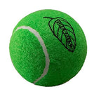 Petsport Tuff Mint Balls Toy For Dogs 2.5" 2pk