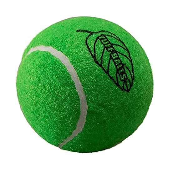 Petsport Jr Mint Tuff Balls Toy For Dogs 1.8" 2pk