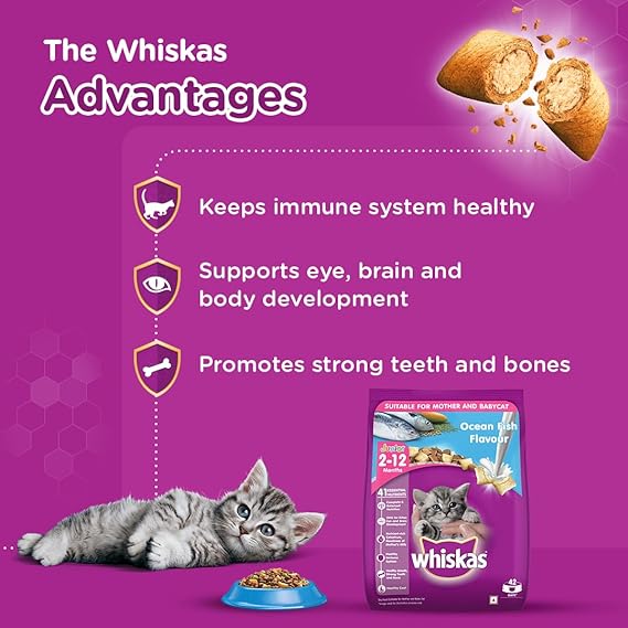 Whiskas Kitten Junior (2-12 Months) Dry Cat Food Ocean Fish Flavor